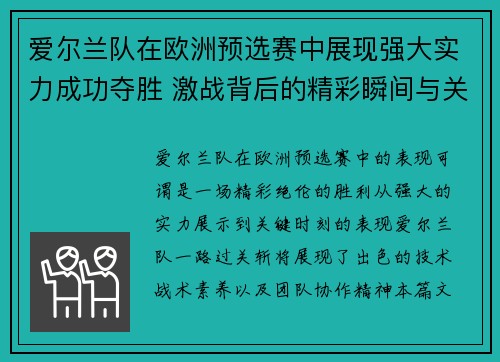 爱尔兰队在欧洲预选赛中展现强大实力成功夺胜 激战背后的精彩瞬间与关键表现